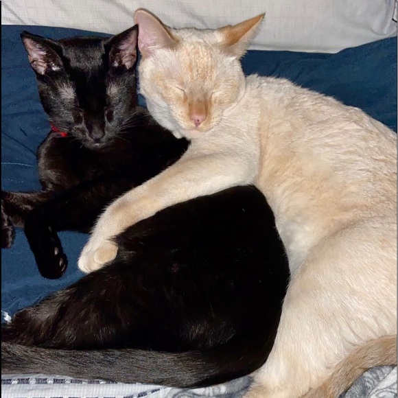 Hey I’m Kenzie! Be sure to tune into my LIVE shows weekdays at 7:30am CT! 🩷 - Picture 8 of 16